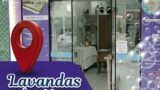 lavandas-do-mar-em-balneario-camboriu (14)